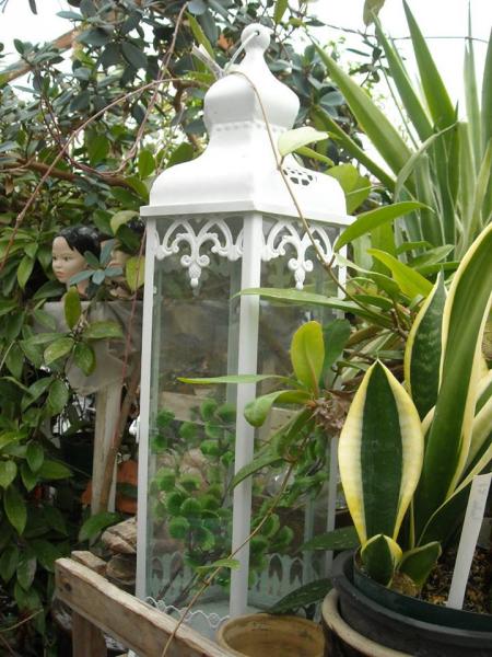 Add a magical touch to your lawn or garden with our selection of yard art pieces, like our lanterns, statues and more!