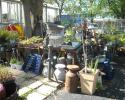 old water pump on wooden base , lots of asst concrete pots, milkcans , benches and more